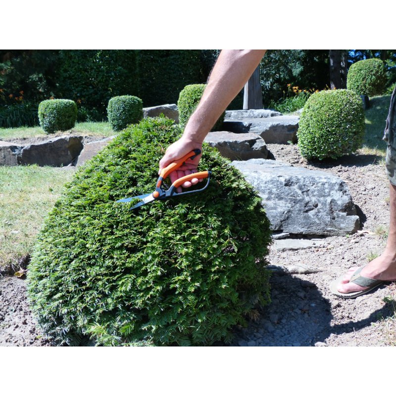 Garten PRIMUS ressort de remplacement pour petit sécateur buis